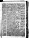 Birmingham & Aston Chronicle Saturday 24 February 1877 Page 3