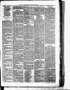 Birmingham & Aston Chronicle Saturday 24 March 1877 Page 7