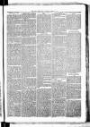 Birmingham & Aston Chronicle Saturday 14 April 1877 Page 3