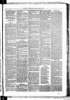 Birmingham & Aston Chronicle Saturday 14 April 1877 Page 7
