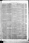 Birmingham & Aston Chronicle Saturday 05 May 1877 Page 3