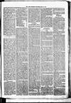 Birmingham & Aston Chronicle Saturday 05 May 1877 Page 5