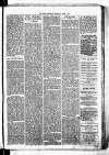 Birmingham & Aston Chronicle Saturday 02 June 1877 Page 5