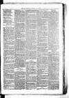 Birmingham & Aston Chronicle Saturday 02 June 1877 Page 7