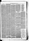 Birmingham & Aston Chronicle Saturday 09 June 1877 Page 5