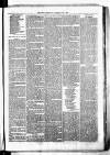 Birmingham & Aston Chronicle Saturday 09 June 1877 Page 7