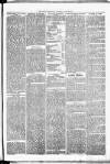 Birmingham & Aston Chronicle Saturday 30 June 1877 Page 3