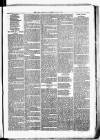 Birmingham & Aston Chronicle Saturday 14 July 1877 Page 7