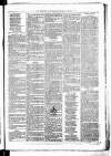 Birmingham & Aston Chronicle Saturday 15 September 1877 Page 3