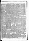 Birmingham & Aston Chronicle Saturday 15 September 1877 Page 5