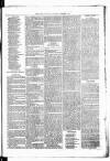 Birmingham & Aston Chronicle Saturday 06 October 1877 Page 3