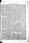 Birmingham & Aston Chronicle Saturday 06 October 1877 Page 7