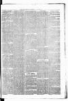 Birmingham & Aston Chronicle Saturday 13 October 1877 Page 3