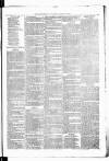 Birmingham & Aston Chronicle Saturday 13 October 1877 Page 7