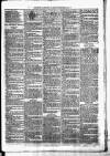 Birmingham & Aston Chronicle Saturday 03 November 1877 Page 3