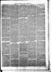 Birmingham & Aston Chronicle Saturday 03 November 1877 Page 7