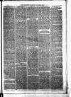 Birmingham & Aston Chronicle Saturday 17 November 1877 Page 7