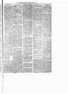 Birmingham & Aston Chronicle Saturday 05 January 1878 Page 7