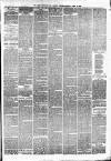 Birmingham & Aston Chronicle Saturday 30 March 1878 Page 3