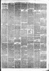 Birmingham & Aston Chronicle Saturday 13 April 1878 Page 3