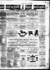 Birmingham & Aston Chronicle Saturday 10 January 1880 Page 1