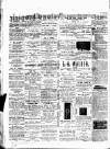 Birmingham & Aston Chronicle Saturday 15 July 1882 Page 2