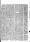 Birmingham & Aston Chronicle Saturday 15 July 1882 Page 3