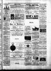 Birmingham & Aston Chronicle Saturday 13 January 1883 Page 5