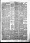 Birmingham & Aston Chronicle Saturday 31 March 1883 Page 3