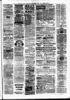 Birmingham & Aston Chronicle Saturday 14 March 1885 Page 7