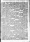 Birmingham & Aston Chronicle Saturday 23 June 1888 Page 3