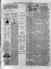 Birmingham & Aston Chronicle Saturday 11 January 1890 Page 4