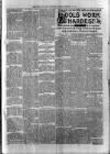 Birmingham & Aston Chronicle Saturday 15 February 1890 Page 3