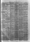 Birmingham & Aston Chronicle Saturday 26 April 1890 Page 5