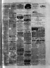 Birmingham & Aston Chronicle Saturday 14 June 1890 Page 7