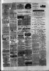 Birmingham & Aston Chronicle Saturday 26 July 1890 Page 7