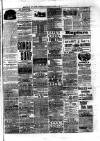 Birmingham & Aston Chronicle Saturday 21 March 1891 Page 7