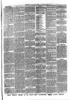 Birmingham & Aston Chronicle Saturday 28 March 1891 Page 5