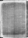 Birmingham & Aston Chronicle Saturday 21 January 1893 Page 3