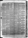 Birmingham & Aston Chronicle Saturday 21 January 1893 Page 5