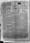 Birmingham & Aston Chronicle Saturday 04 February 1893 Page 3