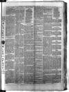 Birmingham & Aston Chronicle Saturday 11 February 1893 Page 5