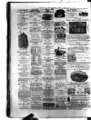Birmingham & Aston Chronicle Saturday 29 April 1893 Page 2