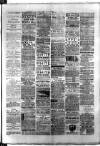 Birmingham & Aston Chronicle Saturday 24 June 1893 Page 7