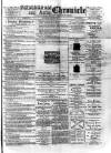 Birmingham & Aston Chronicle Saturday 20 January 1894 Page 1