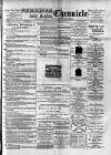 Birmingham & Aston Chronicle Saturday 03 February 1894 Page 1
