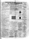 Birmingham & Aston Chronicle Saturday 10 February 1894 Page 1
