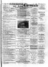 Birmingham & Aston Chronicle Saturday 17 March 1894 Page 1