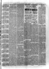 Birmingham & Aston Chronicle Saturday 10 November 1894 Page 3