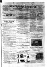 Birmingham & Aston Chronicle Saturday 05 January 1895 Page 1